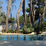 Villa with pool in Salento - villa donna luisa