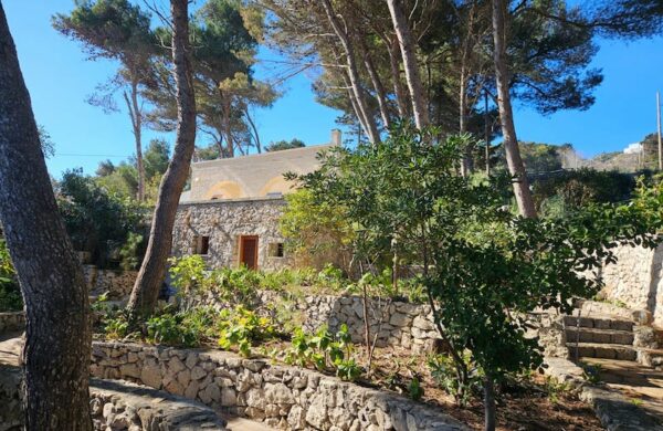 Villa Donna Luisa Salento outside for your dream summer escape